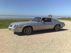 Chevrolet Camaro Berlinetta 1981